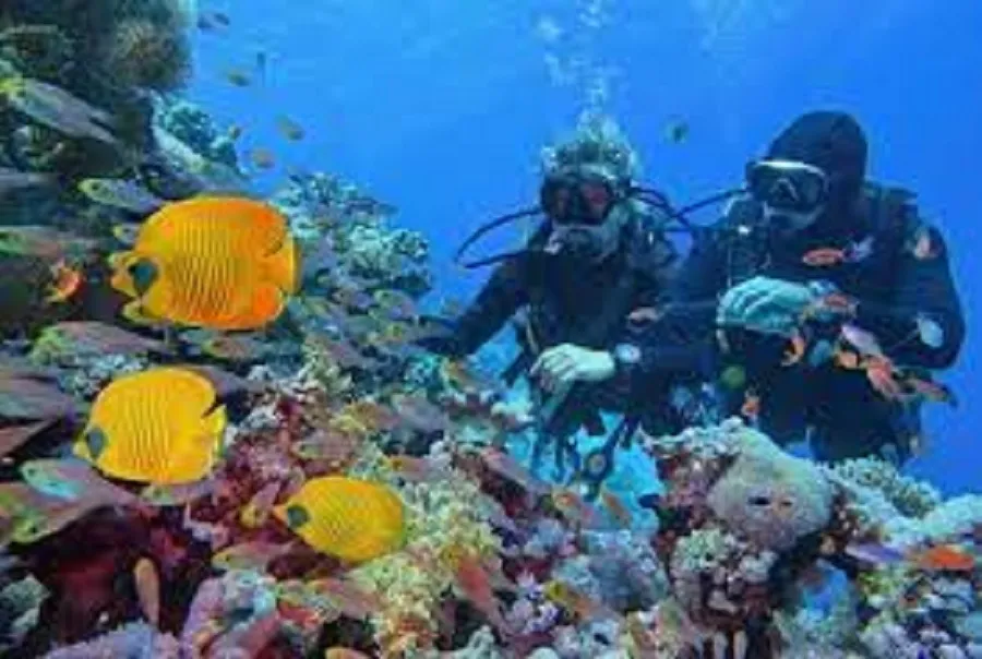 imageye___ _imgi_46_Shore dives in sharm el sheikh 1