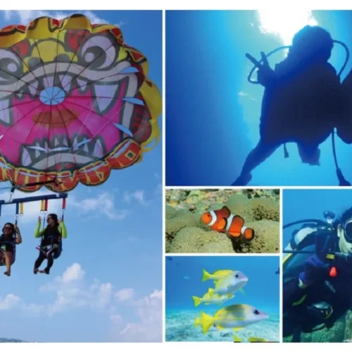 Diving and Fun In Sharm El Sheikh