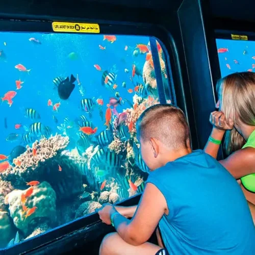 Semi Submarine & Sea Scope In Sharm El Sheikh