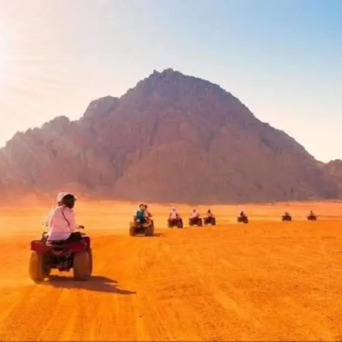 Morning 3-Hours Quad Safari From Sharm El Sheikh