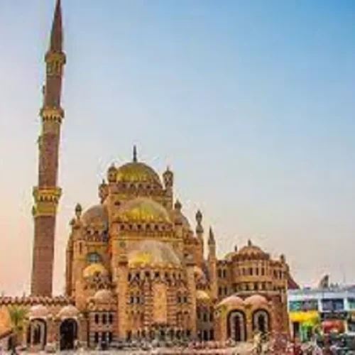 Private transfer to (Old Town – Old Market) and back